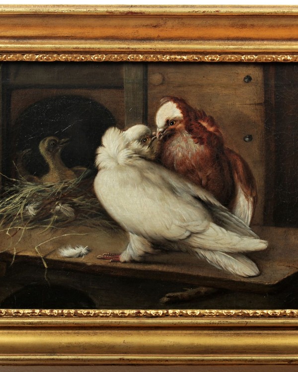 Still life with pigeons 